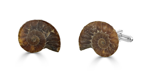 Cufflinks. Handmade Fossil Ammonite Cufflinks. Silver Plated