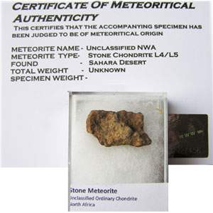 Stone Chondrite Meteorite Fragment with Certificate of Authenticity. Length approx 2cm