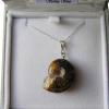 Full Ammonite Polished. On 18 in Sterling Silver Chain. Boxed