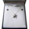 Silver Star with Meteorite Fragment. Boxed with certificate
