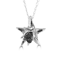 Silver Star Pendant with Iron Meteorite Fragment on 18 Inch Chain, Boxed with Certificate