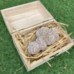 Desert Rose Crystals in Wooden Treasure Chest