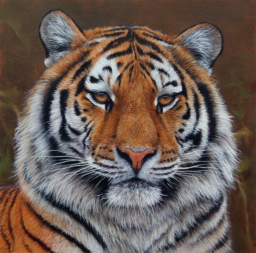 Tiger Tiger - Oil Painting on Canvas, 